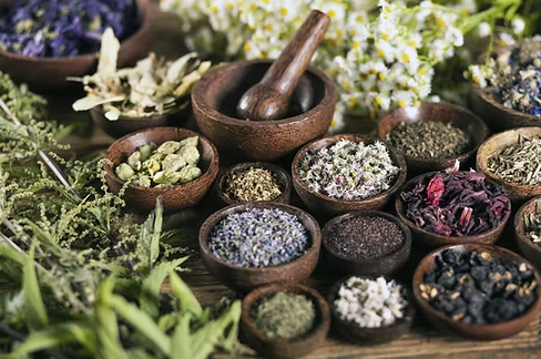 Bachelor of Science in Herbology