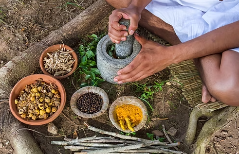 Diploma in Ayurveda
