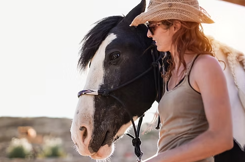 Bachelor of Science in Animal Assisted Therapy