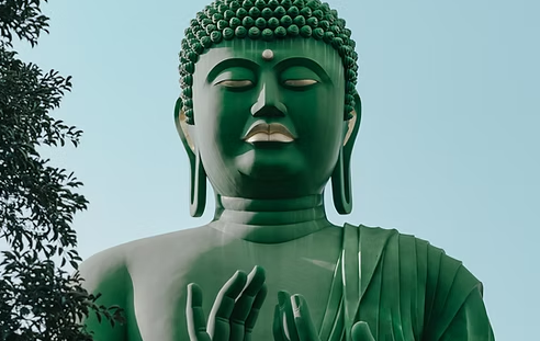 Diploma in Being Whole