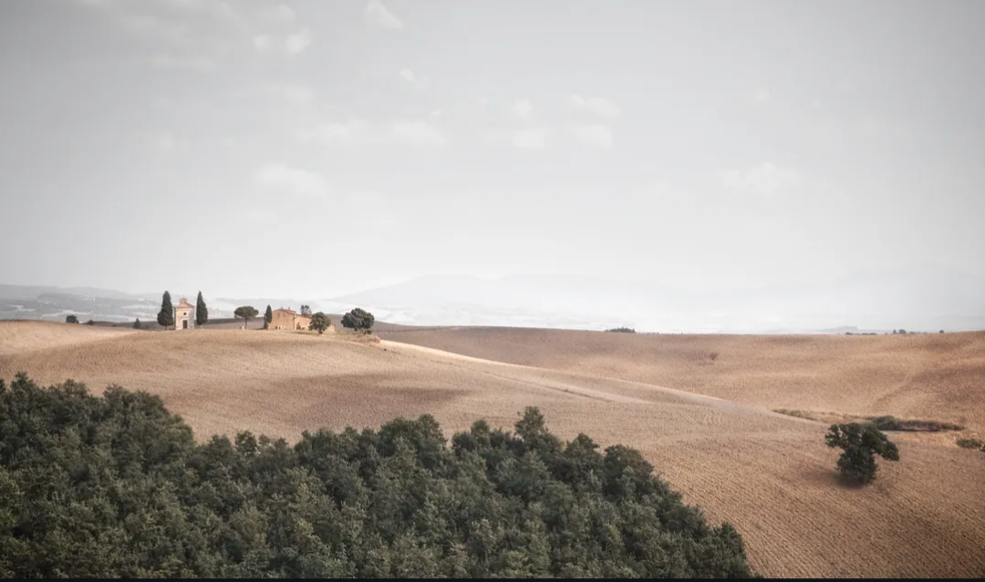 Certificate in Buying & Selling Rural and Agricultural Properties
