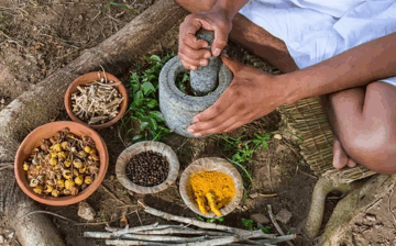 Diploma in Ayurveda