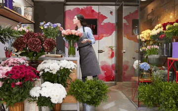 Diploma in Flower Essence Therapy