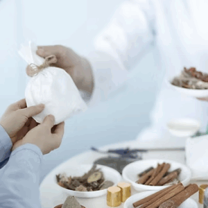 Bachelor of Science in Traditional Chinese Medicine