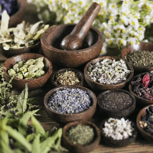 Bachelor of Science in Herbology