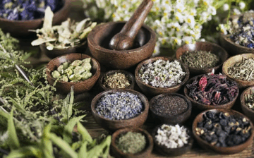 Bachelor of Science in Herbology