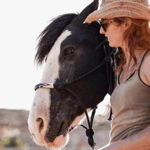 Bachelor of Science in Animal Assisted Therapy