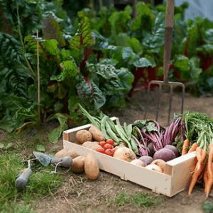 Associate of Science in Plant-Based Healing