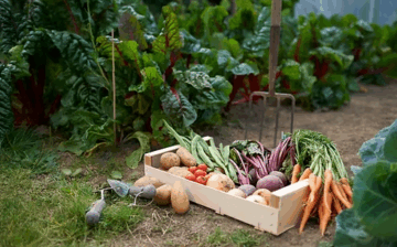 Associate of Science in Plant-Based Healing