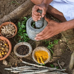 Associate of Science in Ayurveda Health Principles