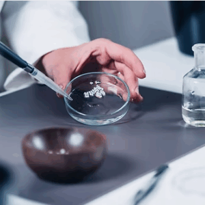 Associate of Arts in Homeopathic Wellness