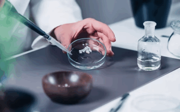 Associate of Arts in Homeopathic Wellness.