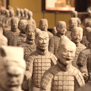 Associate Degree in Traditional Chinese Medicine Foundations