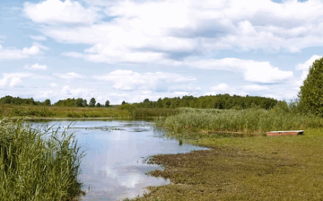 Certificate in Buying Land Abroad for Development