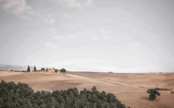 Certificate in Buying & Selling Rural and Agricultural Properties