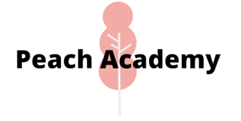 New Information Technology Courses Drop: Now with Downloadable Lectures